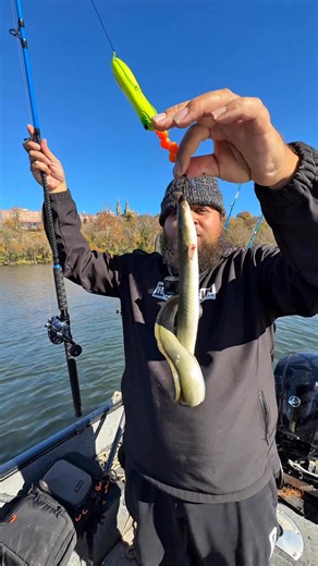 3.7M views · 48K reactions | Day 1 of using a live eel until we catch a fish !!! | Stephen Hazlife Fultz | Facebook