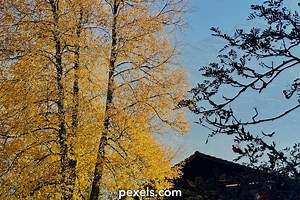 Free Video+By+A+Href=Httpspixabay.Comusersvjloopsdotnet 12767861utm Source=Link Attribution Photos