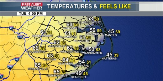 First taste of Spring today