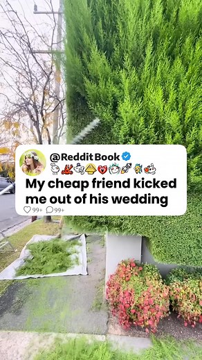 What do you think about this story? . . . . . . . . . . #redditstory #redditvideos #reddit #satisfying #redditreels #fblifestyle | Random Reddit Videos