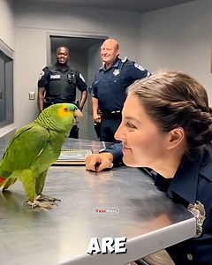 Educated Parrot 😂 | Ｙｏｕｒ Ｐａｉｎ