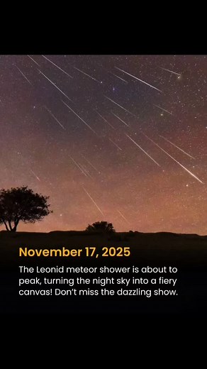 21 reactions | Leonid Meteor Shower Peak – November 17, 2025 The...