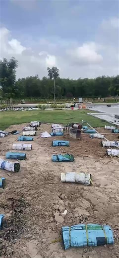 Trồng cỏ #ctree#fores#sein