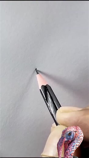 pencil on Instagram: "House 🏡 drawing trick"