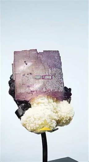 💜 Purple Fluorite — Controlled Clarity | ZOG Minerals