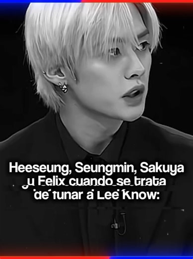 𝐓𝐡𝐞 𝐒𝐮𝐫𝐨𝐧𝐢𝐚: El Amor Oculto de Lee Know