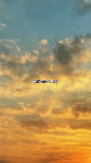 sanki devrilir gibi evimizin direği // melike şahin