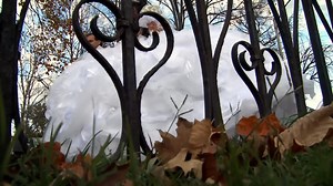 98K views · 1.9K reactions | Gypsy Brides Gypsy Bride Needs A 53ft Lorry To Carry Her Wedding Dress Gypsy Brides US | Memphis Jax Gage | Facebook