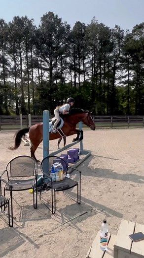 8 comments | Lily is a large pony and she’s such a good girl ❤️...