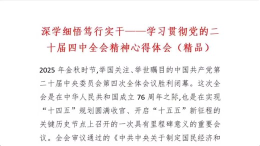 深学细悟笃行实干——学习贯彻党的二十届四中全会精神心得体会（精品）