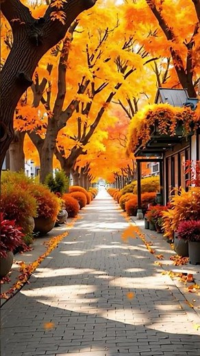 Relax Gently with Exquisite Autumn Jazz Music 🍁 The Autumn Jazz Vibes Will Make You Flutter 🎶