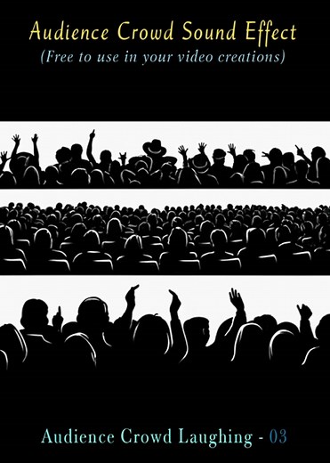 Realistic Audience Crowd Laughing Sound Effect