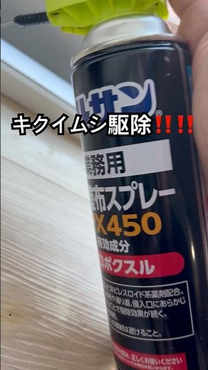 兵庫県神戸市でキクイムシ駆除‼️#害虫駆除#キクイムシ