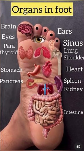Press Here to Clean Your Blood Vessels (Hand & Foot Reflexology Map.#Reflexology #CloggedArteries