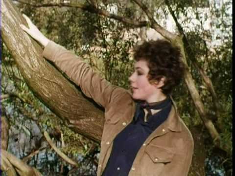 The Avengers Girl About Town 1967