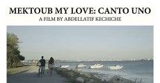 Mektoub, My Love: Canto Uno (2017)  - Ver Película Completa en Español - FULLTV