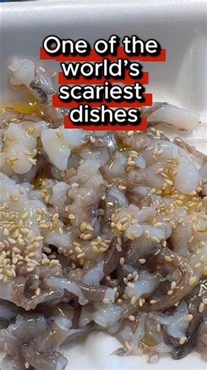 The Octopus That Tried to Escape My Mouth #cheflife #babyoctopus #challenge #live #koreanfood #chef