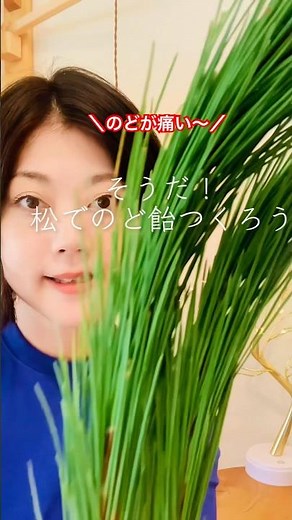 のどが痛いから松でのど飴作ろう#セルフケア#ハーブ療法#自然療法#手作り