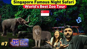 9.6K views · 85 reactions | Singapore Night Safari mein aisa Experience hoga socha nahi tha || World’s Best Zoo Singapore  | Mohit singh | Facebook