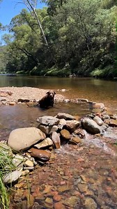 19K views · 708 reactions | Looking for more information? ⬇️ Score...