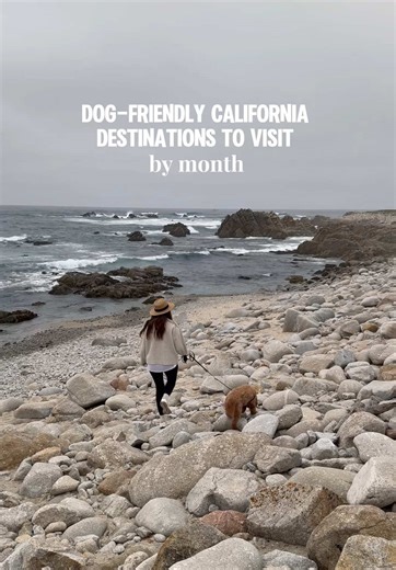 If you’re planning your year around dog-friendly California getaways, consider this your monthly cheat sheet 🗓️ January: Palm Springs — desert sunshine spacious stays February: Tahoe — snowy trails, cozy cabins, mountain air March: Napa Valley — worldclass wine vineyard walks April: Santa Barbara — amazing weather dog-welcoming atmosphere May: Mendocino — moody coastlines forest trails June: Big Sur — one of the most iconic stretches of CA to visit July: Sonoma Coast — charming small towns view