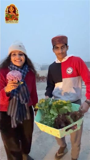 Emotional Terrace Garden Harvest | Last mein ek surprise | Kitchen Waste Composting