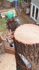 Going piece by piece #treeservice #arboristlife #treeworker #guiltyoftreeson | Guilty of Treeson