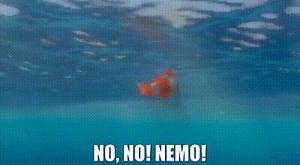 No, no! Nemo!
