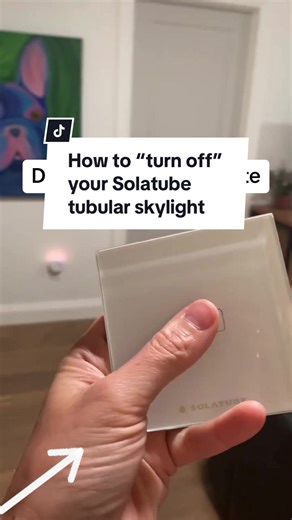 Control the amount of daylight your skylight delivers with a Solatube daylight dimmer. ☀️ #solatubeinternational #naturallight #tubularskylights #playroom #bonusroom #DIY #skylight #hack #homehack #daylightdimmer Skylight Home Renovation Natural Light Solar Tubes Natural Light in Home Natural Light Home Natural Light Room Ideas Skylight in house Skylight Shades