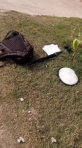 Amazing Earth on Reels