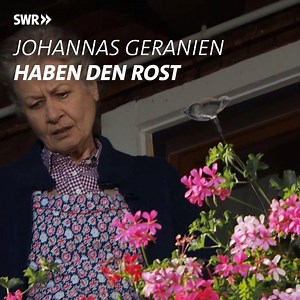21K views · 100 reactions | Johanna von den "Fallers" ist entsetzt: Ihre Geranien haben alle den Rost! Schnell leert sie sämtliche Blumenkästen, damit sich die giftigen Pilzsporen nicht verteilen. Aber ob Bea das gefallen wird?  | SWR | Facebook