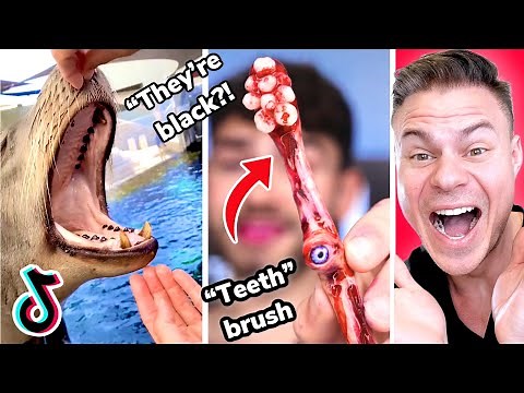 Amazing Tik Toks That Will Make You Want Braces!