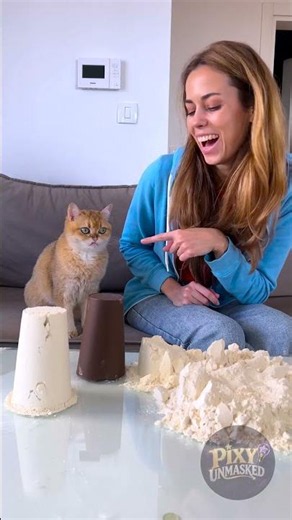 Paws-itively Purrfect: Unforgettable Cat Capers That Will Make You Laugh! 😂🐱