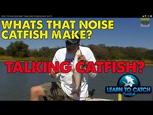 What's That Noise Catfish Make? Talking Catfish? [Catfishing Quick Tips # 7]