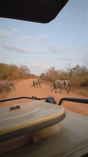 Beyond Real Estate: My Eye-Opening Adventure in Tanzania 🇹🇿