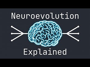 Neuroevolution Explained by Example