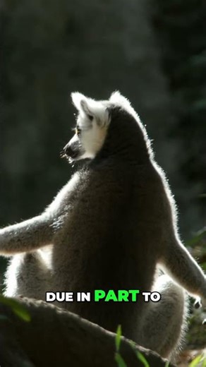 Andon's Genius: Subscribe for Epic Evolution! #shorts