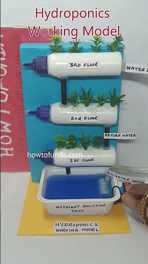 hydroponics working model for science project exhibition - shorts | howtofunda