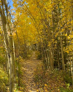 360K views · 15K reactions | Talk about being lucky to be in the right place at the right time. | Michael J Bauer Photography | Facebook