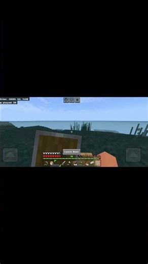 we discoverd a shipwreck in Minecraft