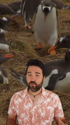 Fascinating Facts About Rare and Exotic Animals