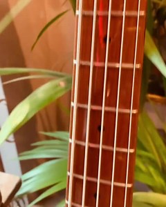 54 reactions | A merge of preciseness and power. Our P5 is Marcus Miller-approved P-style bass. Available in Tobacco Sunburst, Dakota Red, and Mild Green colors. #MarcusMiller #SireP5 #SireSpotlight Thanks to @estudio54santiago (IG) | Sire USA | Facebook