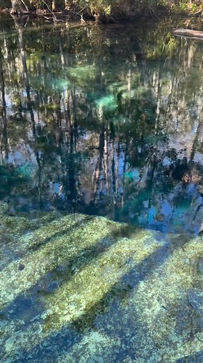 Nice dive with splendid visibility all by our lonesome | Reef Runner Dive Team