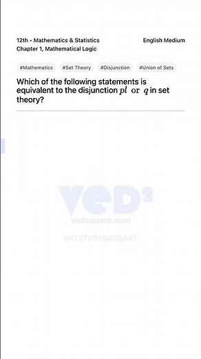 Understanding Disjunction in Set Theory