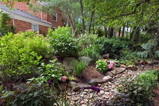 How to Make a Simple Rain Garden to Solve Stormwater Problems