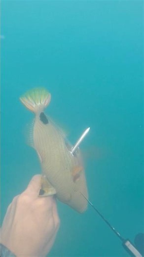 Sapol ang pakol #adventure #fishing