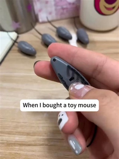 FunkyCharmLab on Instagram: "🐭⚡️Remote-Control Fake Rat：Prank Master Activated! Zigzag movement + fake death｜Trigger scream fests at work✨ Cat toy & prank combo｜Every whisker acts its best～ #GagToy #RCrat #OfficeChaos"