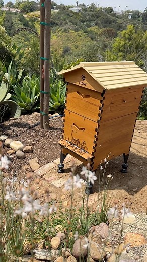 2.8K views · 78 reactions | I’ve been teaching soooo many new...