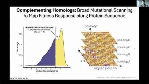 "Large-scale synthetic gene libraries for decoding variant effects in antibiotic resistance"