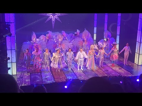 Pinocchio Pantomime 🤥 #pinocchio #panto #showtime #actor #entertainment #comedy #singalong #mustsee